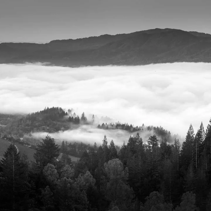 General Manager Lindsay Dale